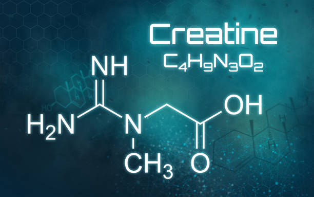 L-Carnitine: The Fat Transporter