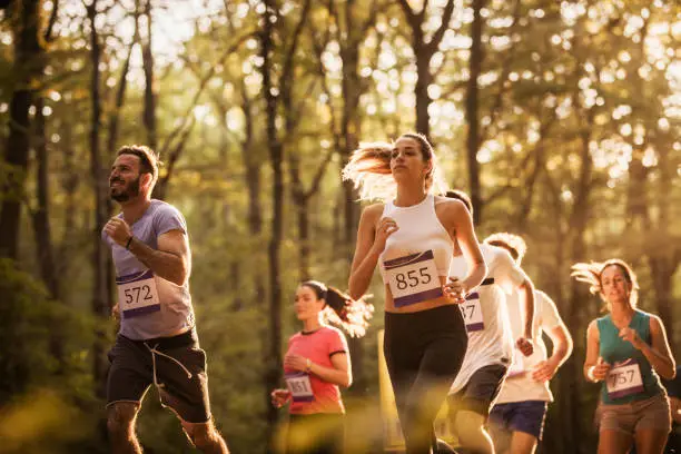 Group of runners competing in a half marathon through a sunlit forest trail.